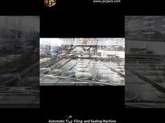 Rotary stand-up bag automatische snacks vulmachine huisdiervoedsel verpakkingsmachine gedroogde gedroogde groenten